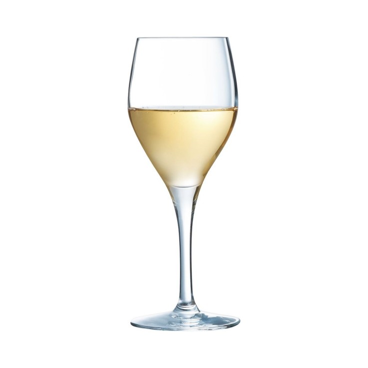 6 Verres à pied 20 cl Sensation Exalt pour professionnel