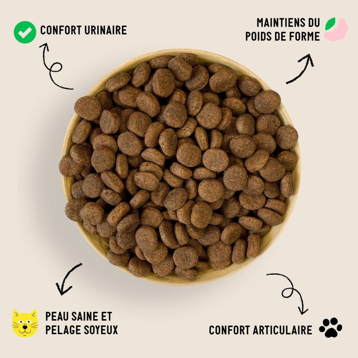 Tomojo - Croquettes aux Insectes pour Chat Senior 2,5kg