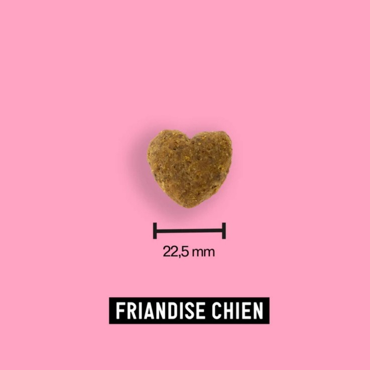 Tomojo - Friandises aux insectes Santé Bucco-Dentaire pour Chien 100g