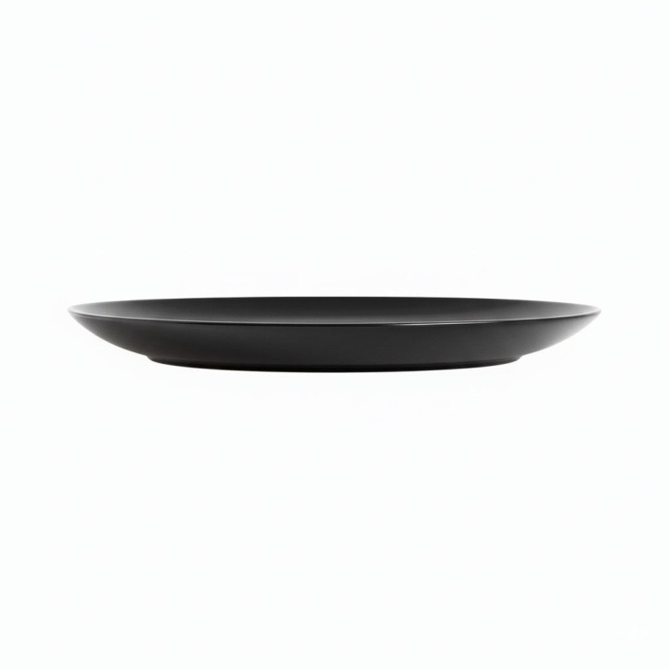 6 assiettes plates noires en verre 25 cm -APY