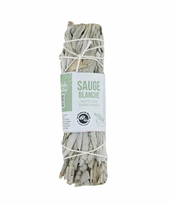 Tresse Sauge blanche de...
