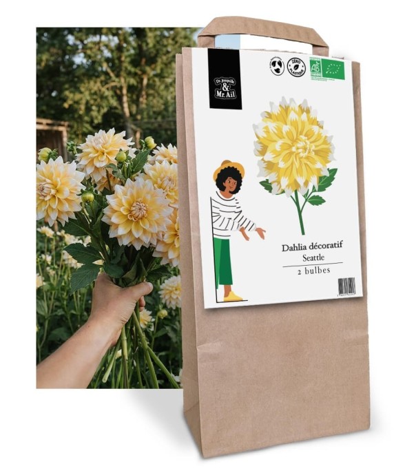 Bulbes à Fleurs Bio -...