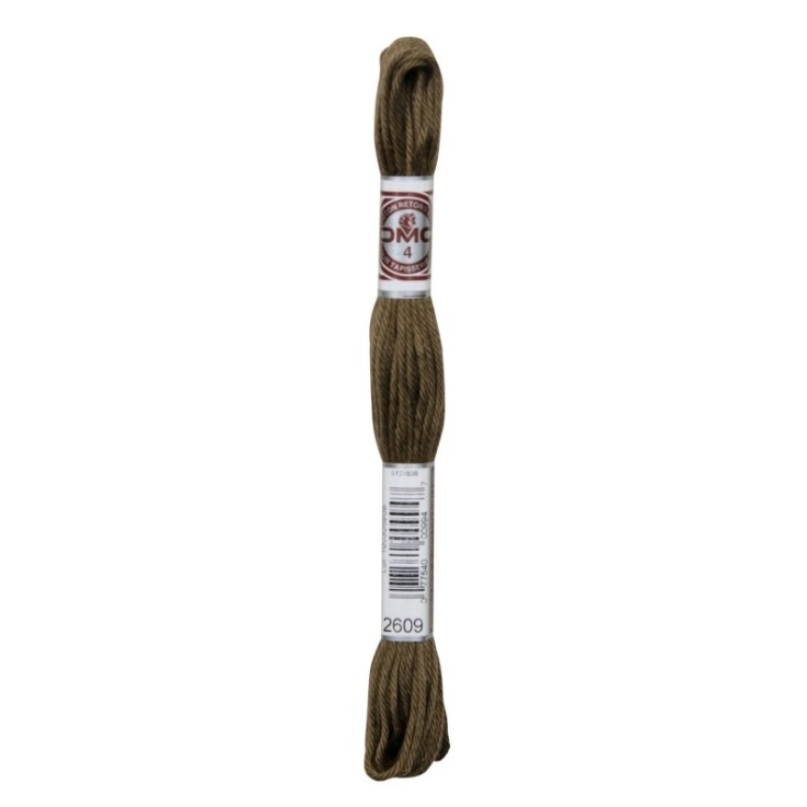 Fil Retors DMC Col. 2609 Canevas et tapisserie
