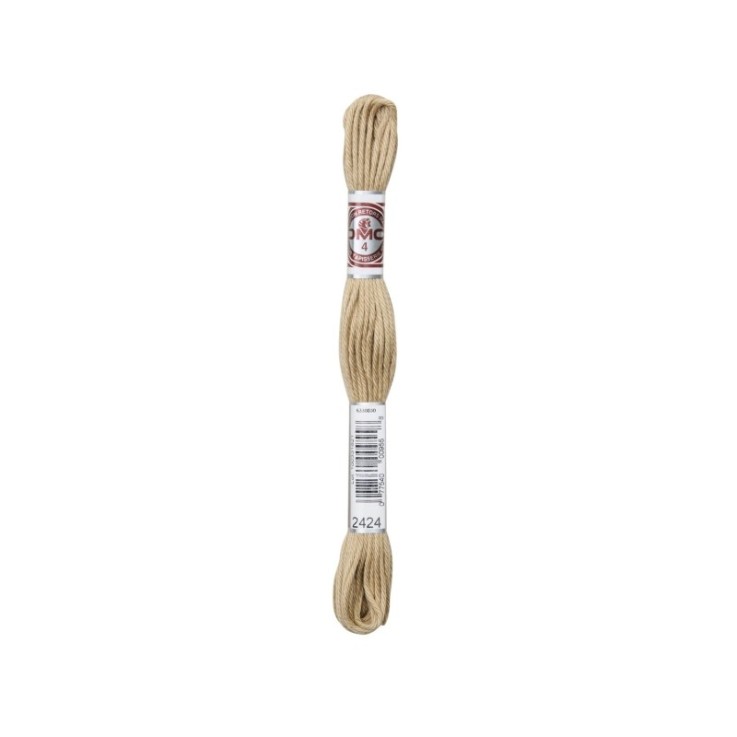 Fil Retors DMC Col. 2424 Canevas et tapisserie