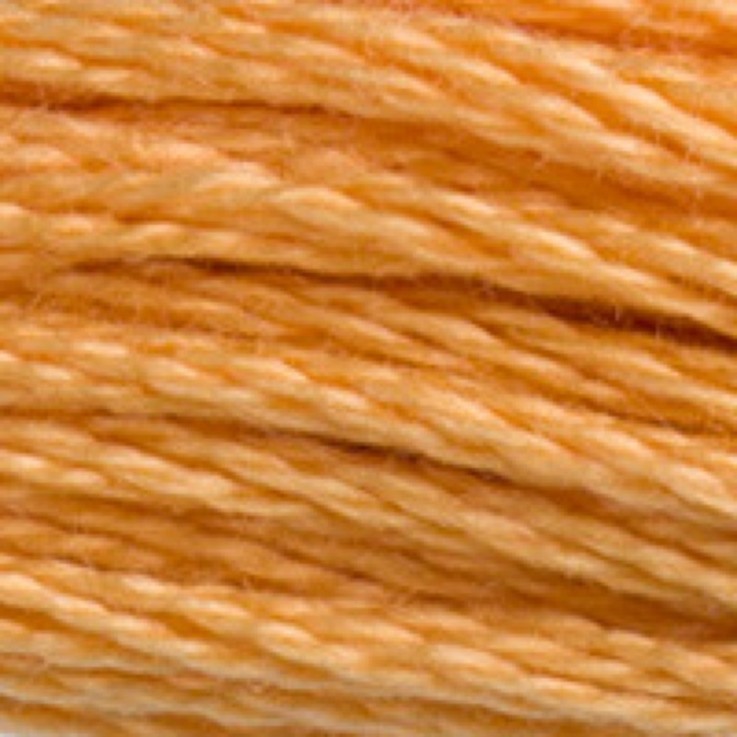 Fil Mouliné DMC Gold Concept 8M Col. 3827 Broderie et Point de Croix