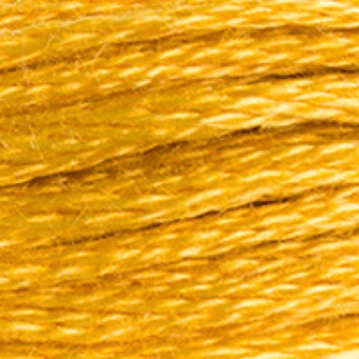 Fil Mouliné DMC Gold Concept 8M Col. 3820 Broderie et Point de Croix