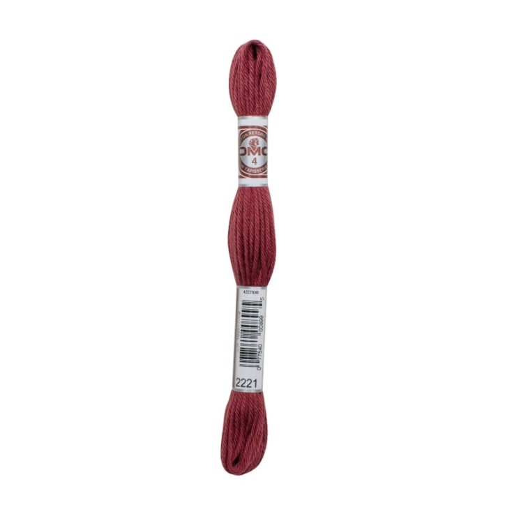 Fil Retors DMC Col. 2221 Canevas et tapisserie