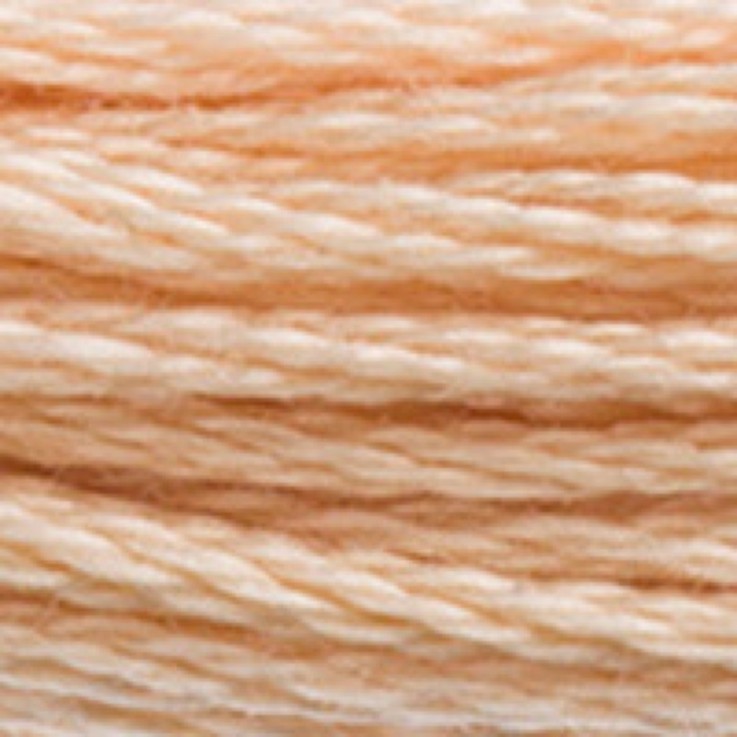 Fil Mouliné DMC Gold Concept 8M Col. 945 Broderie et Point de Croix