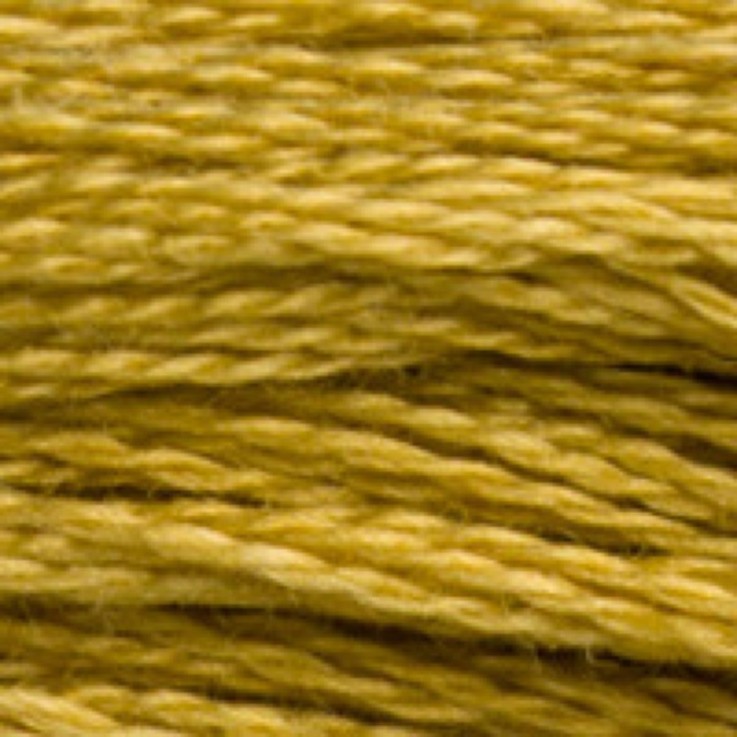 Fil Mouliné DMC Gold Concept 8M Col. 833 Broderie et Point de Croix