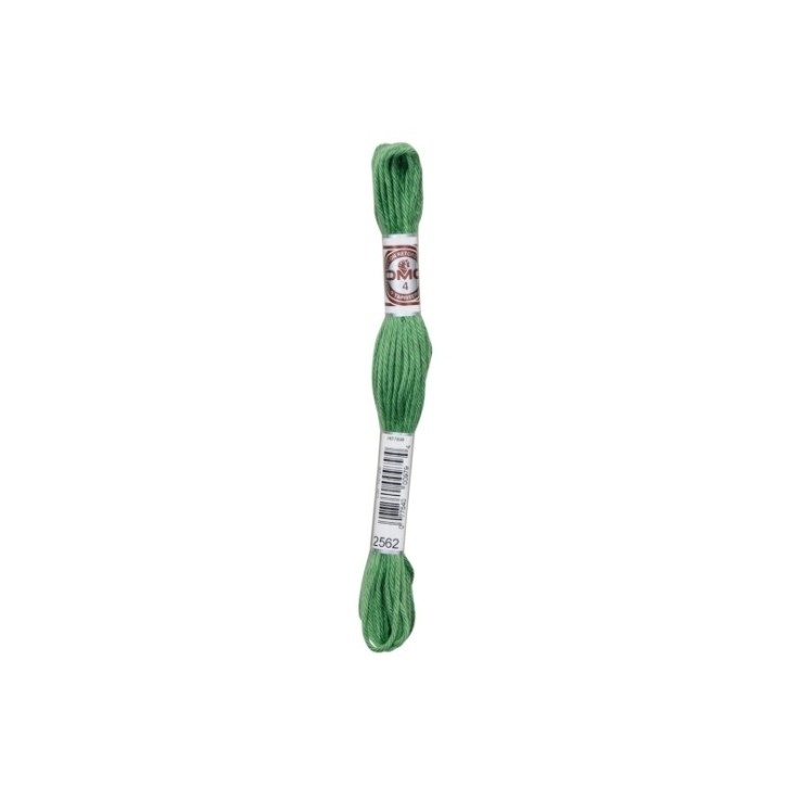 Fil Retors DMC Col. 2562 Canevas et tapisserie