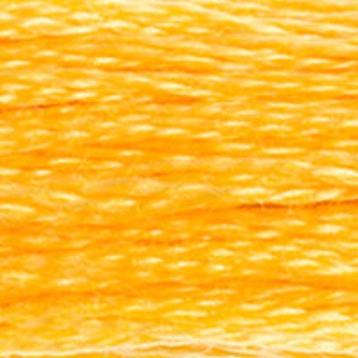Fil Mouliné DMC Gold Concept 8M Col. 725 Broderie et Point de Croix