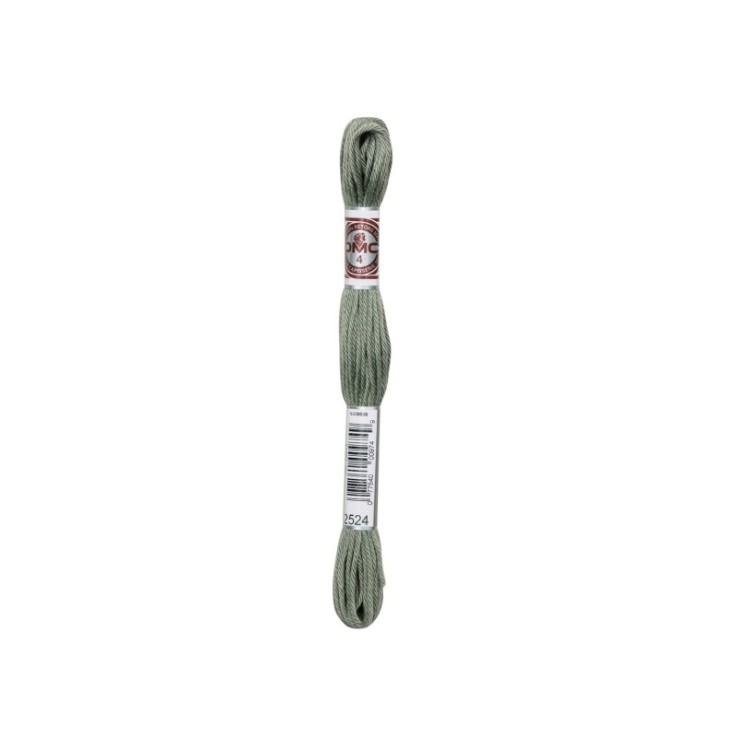 Fil Retors DMC Col. 2524 Canevas et tapisserie