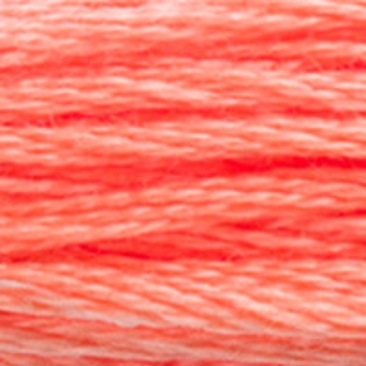 Fil Mouliné DMC Gold Concept 8M Col. 3341 Broderie et Point de Croix