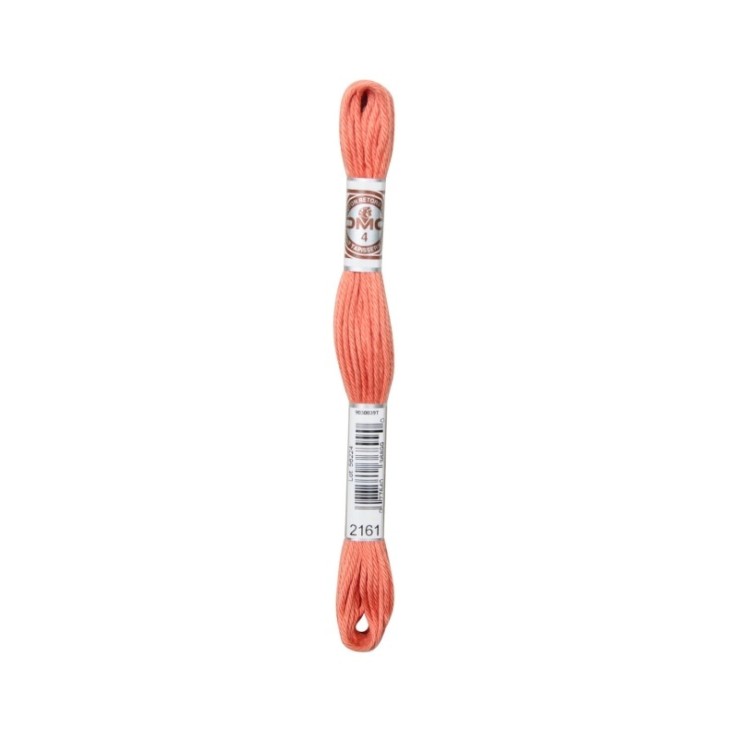 Fil Retors DMC Col. 2161 Canevas et tapisserie