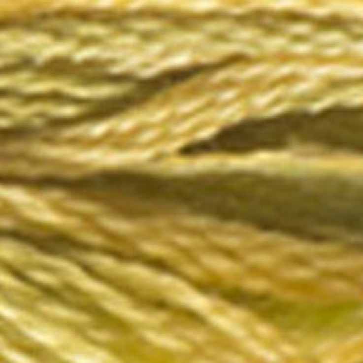 Fil Mouliné DMC Variation 8M Col. 4070 Broderie et Point de Croix