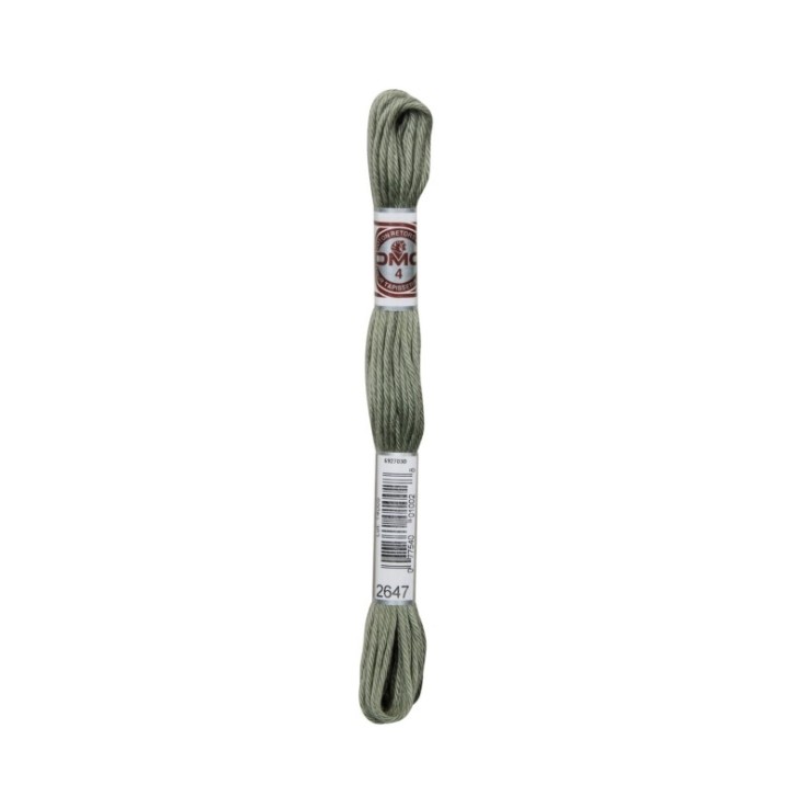 Fil Retors DMC Col. 2647 Canevas et tapisserie