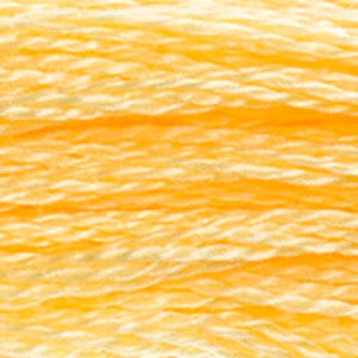 Fil Mouliné DMC Gold Concept 8M Col. 744 Broderie et Point de Croix