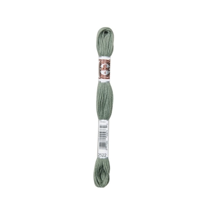 Fil Retors DMC Col. 2522 Canevas et tapisserie