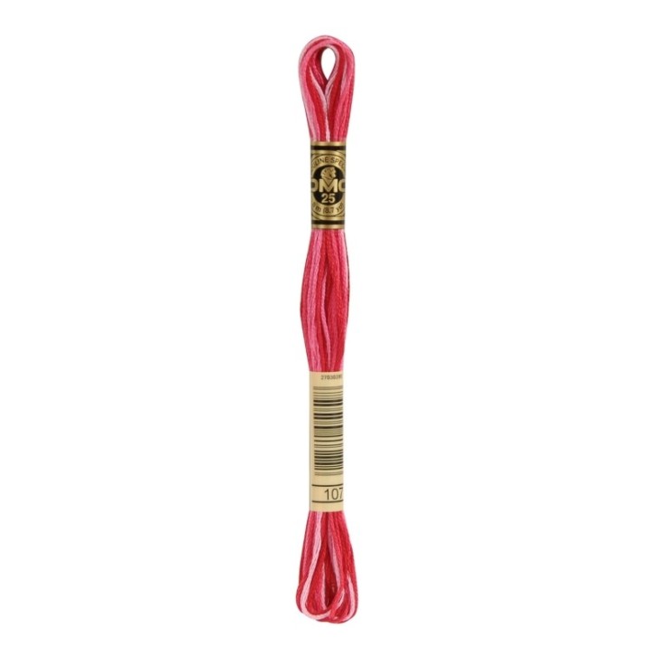 Fil Mouliné DMC Gold Concept 8M Col. 107 Broderie et Point de Croix