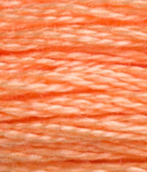 Fil Mouliné DMC Gold...