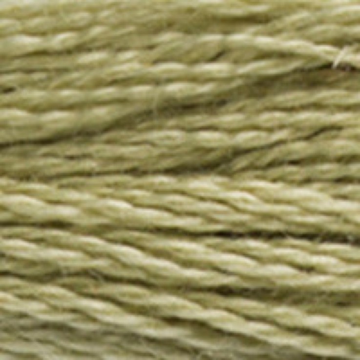 Fil Mouliné DMC Gold Concept 8M Col. 3013 Broderie et Point de Croix
