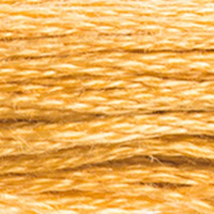 Fil Mouliné DMC Gold Concept 8M Col. 729 Broderie et Point de Croix