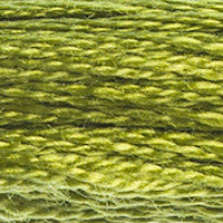 Fil Mouliné DMC Gold Concept 8M Col. 469 Broderie et Point de Croix