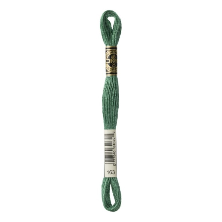Fil Mouliné DMC Gold Concept 8M Col. 163 Broderie et Point de Croix