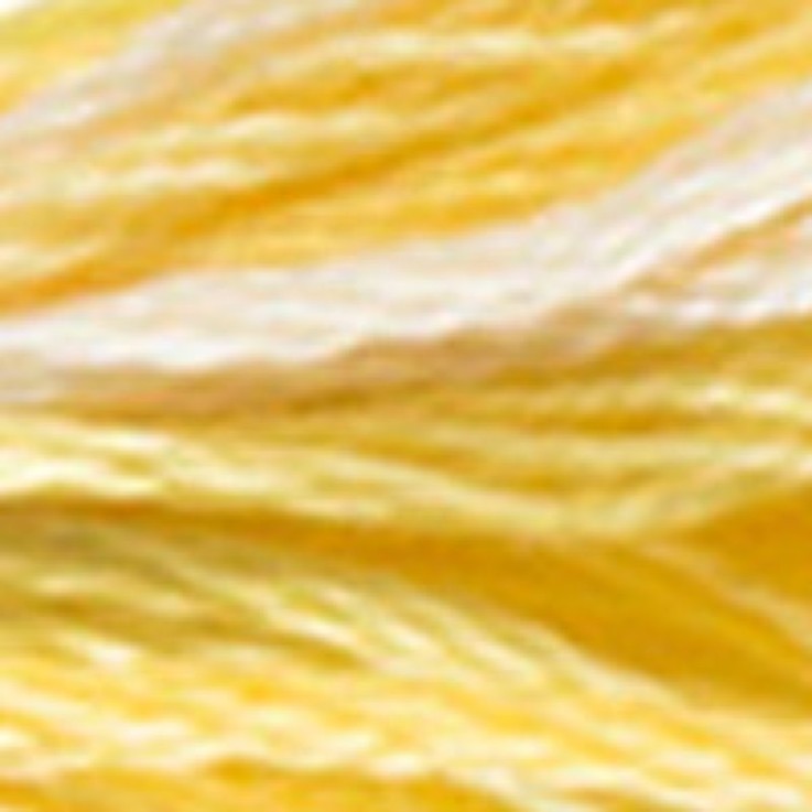 Fil Mouliné DMC Variation 8M Col. 4080 Broderie et Point de Croix