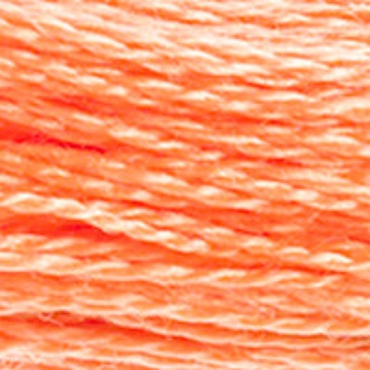 Fil Mouliné DMC Gold Concept 8M Col. 722 Broderie et Point de Croix