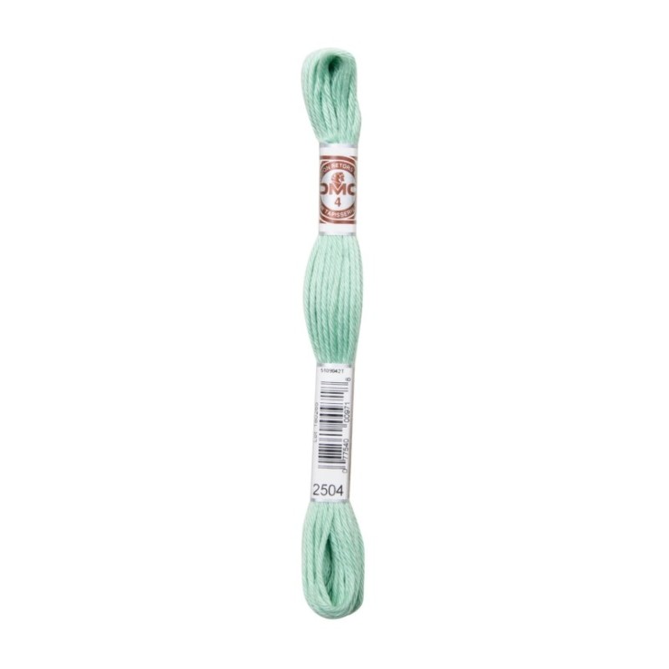 Fil Retors DMC Col. 2504 Canevas et tapisserie