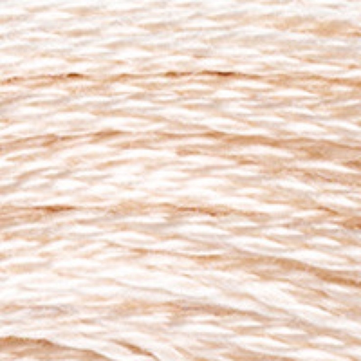 Fil Mouliné DMC Gold Concept 8M Col. 3033 Broderie et Point de Croix
