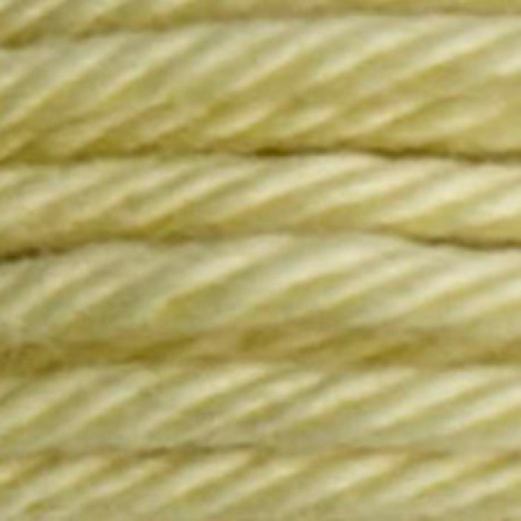 Fil Retors DMC Col. 2446 Canevas et tapisserie