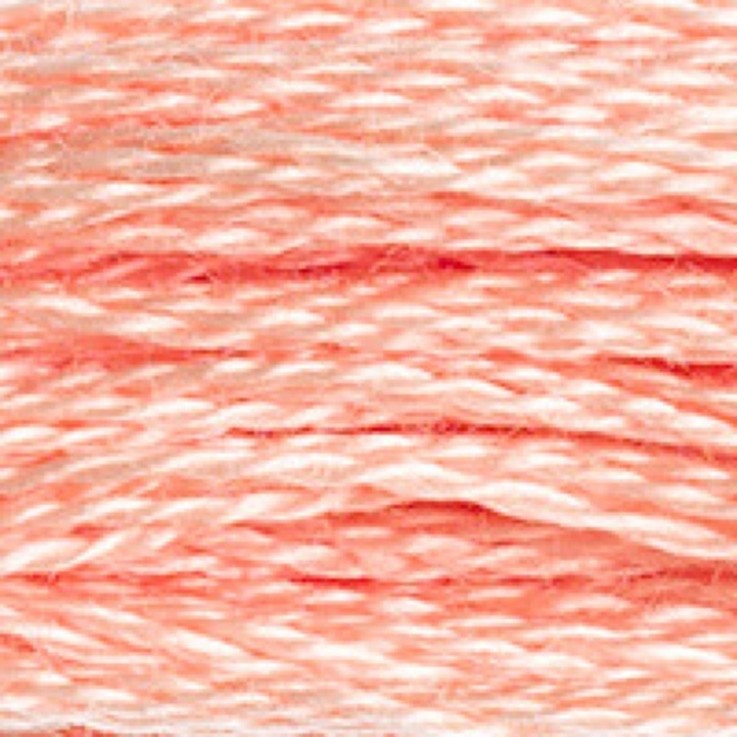 Fil Mouliné DMC Gold Concept 8M Col. 754 Broderie et Point de Croix