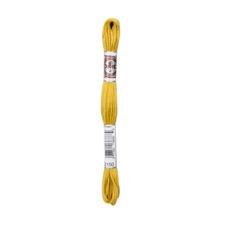 Fil Retors DMC Col. 2150 Canevas et tapisserie