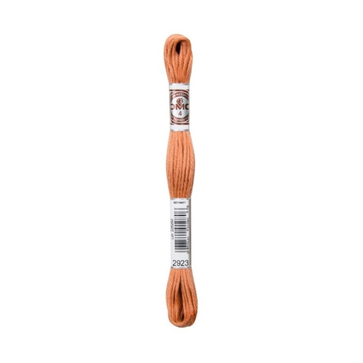Fil Retors DMC Col. 2923 Canevas et tapisserie