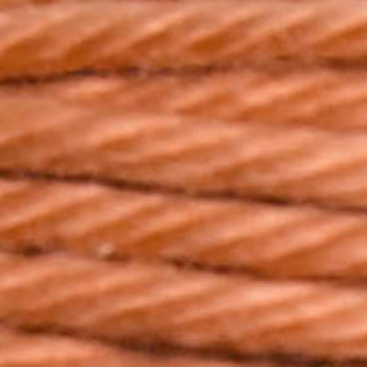 Fil Retors DMC Col. 2923 Canevas et tapisserie