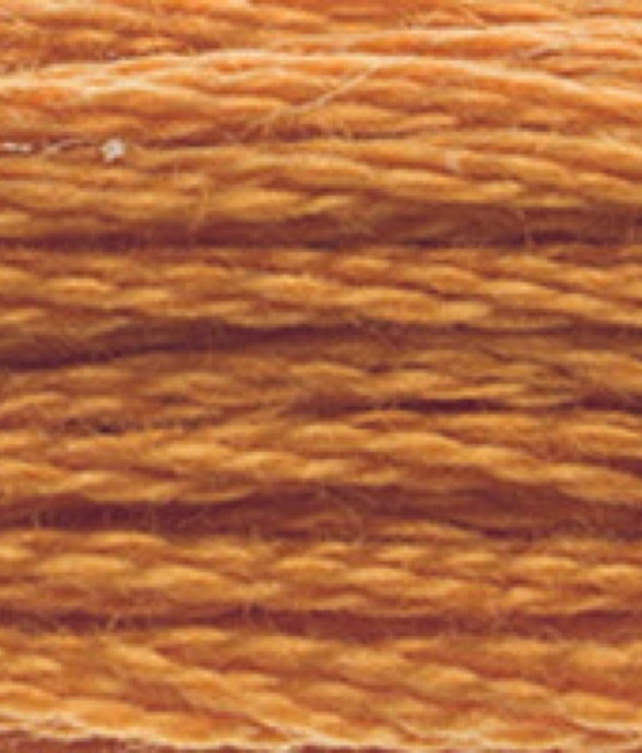 Fil Mouliné DMC Gold...