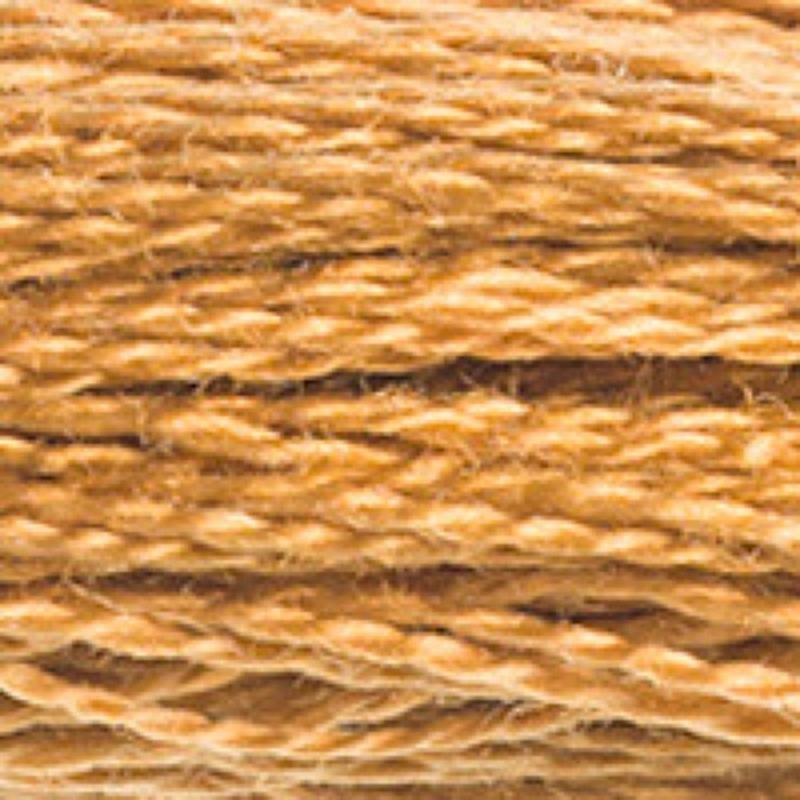 Fil Mouliné DMC Gold Concept 8M Col. 420 Broderie et Point de Croix