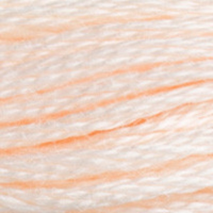 Fil Mouliné DMC Gold Concept 8M Col. 3770 Broderie et Point de Croix