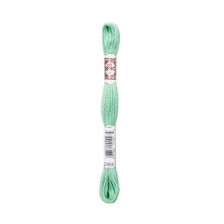 Fil Retors DMC Col. 2954 Canevas et tapisserie
