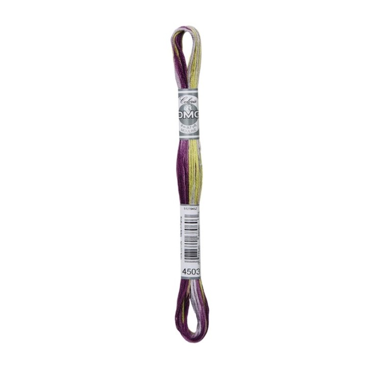Fil Mouliné DMC Coloris 8M Col. 4503 Broderie et Point de Croix