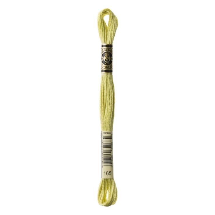 Fil Mouliné DMC Gold Concept 8M Col. 165 Broderie et Point de Croix