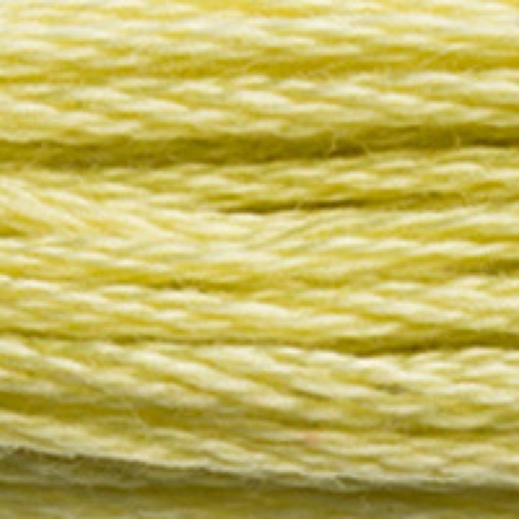 Fil Mouliné DMC Gold Concept 8M Col. 165 Broderie et Point de Croix