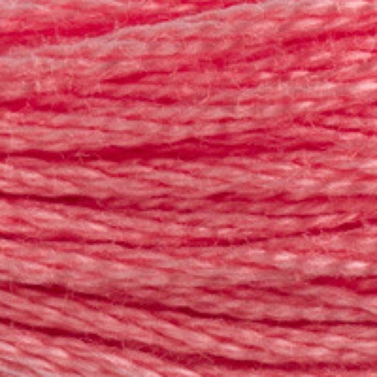 Fil Mouliné DMC Gold Concept 8M Col. 760 Broderie et Point de Croix