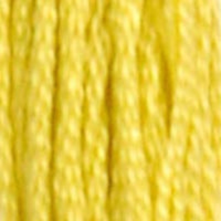 Fil Mouliné DMC Gold Concept 8M Col. 18 Broderie et Point de Croix