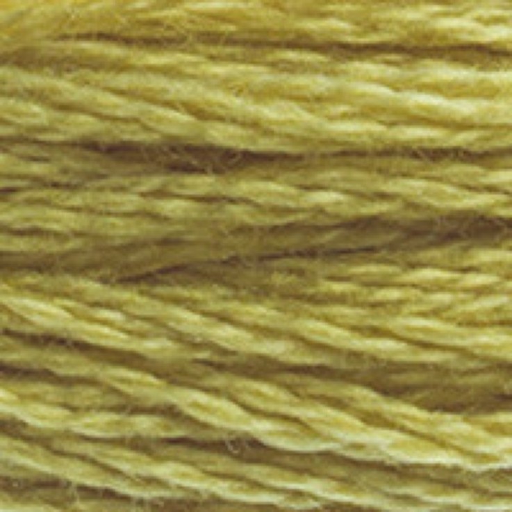 Fil Mouliné DMC Gold Concept 8M Col. 734 Broderie et Point de Croix