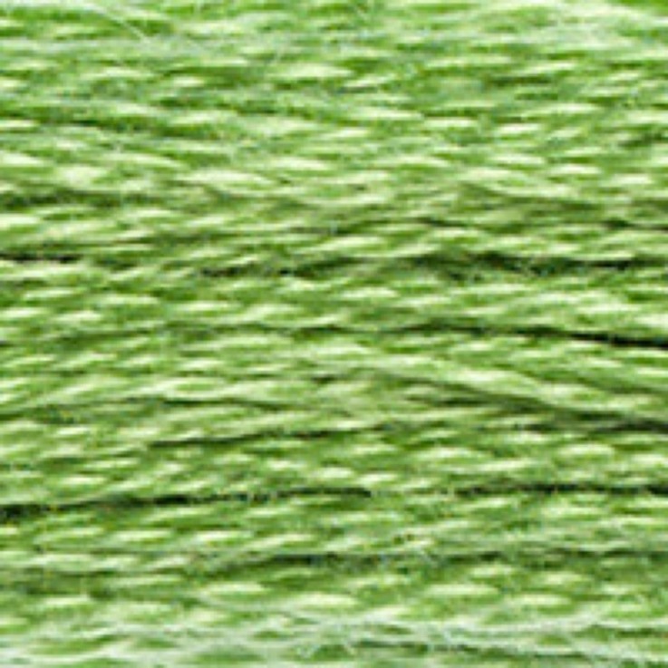 Fil Mouliné DMC Gold Concept 8M Col. 989 Broderie et Point de Croix