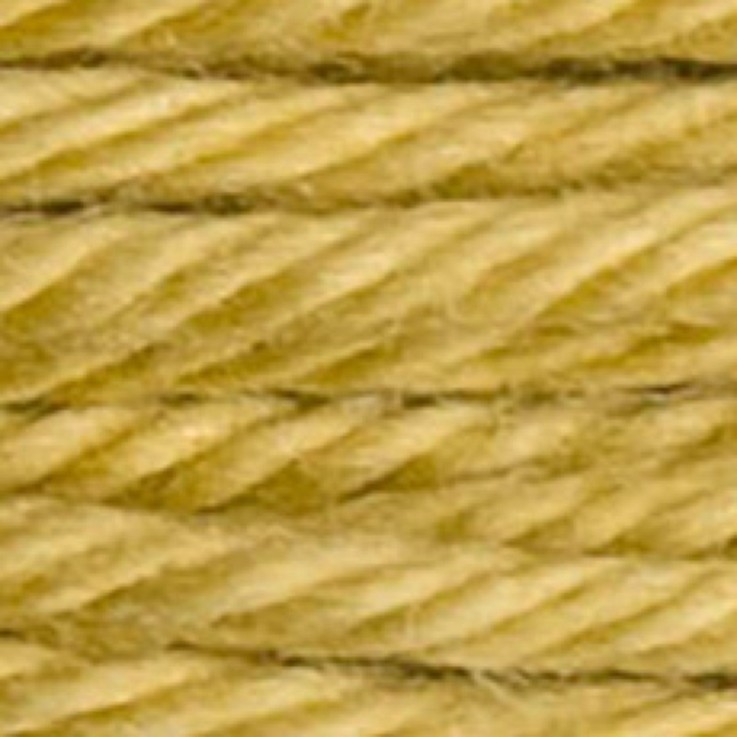 Fil Retors DMC Col. 2833 Canevas et tapisserie