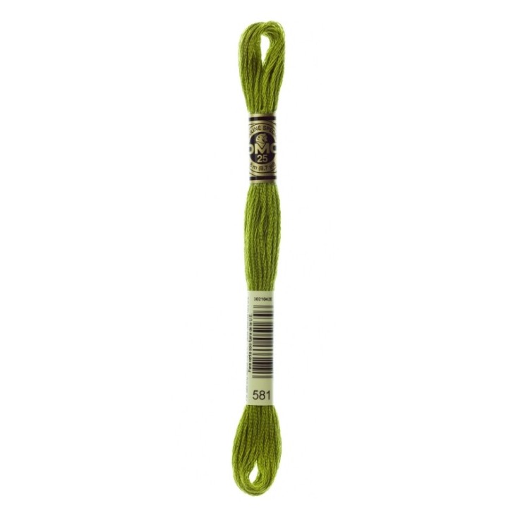 Fil Mouliné DMC Gold Concept 8M Col. 581 Broderie et Point de Croix